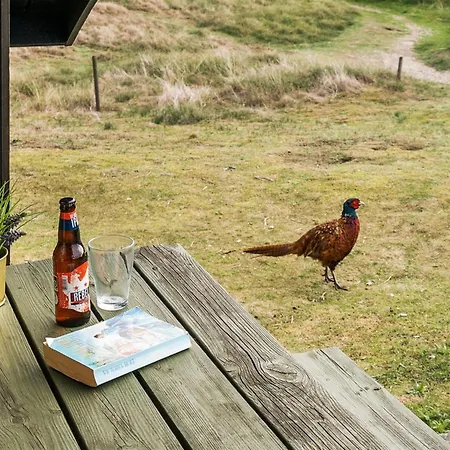 Delia - 300m From The Sea By Interhome *