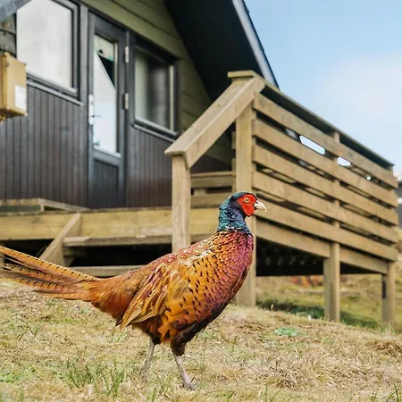 Delia - 300m From The Sea By Interhome Dom wakacyjny *