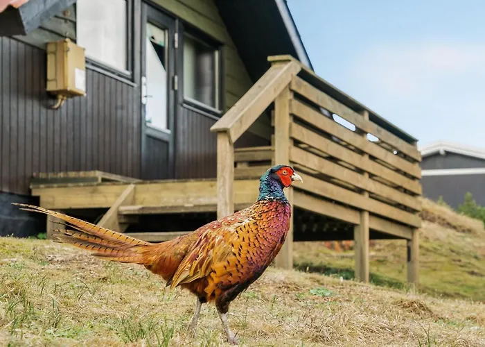 Delia - 300m From The Sea By Interhome Holiday home *